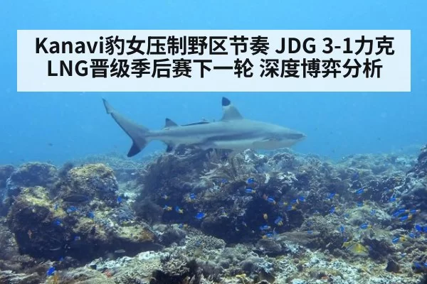 Kanavi豹女压制野区节奏 JDG 3-1力克LNG晋级季后赛下一轮 深度博弈分析