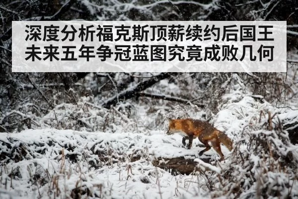 深度分析福克斯顶薪续约后国王未来五年争冠蓝图究竟成败几何